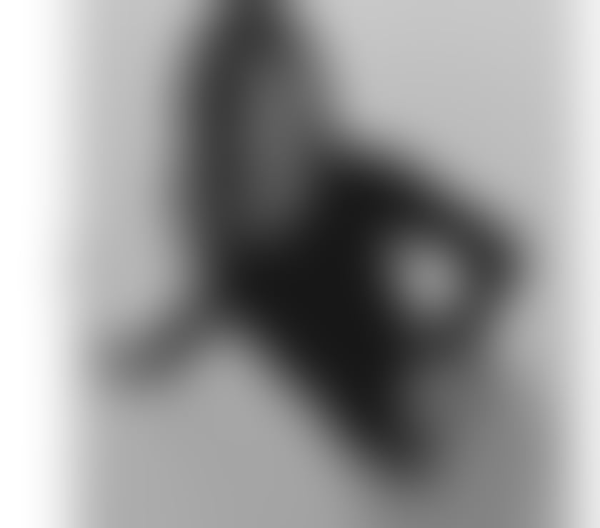 🌸Queen of party 🥳No rush 🛑