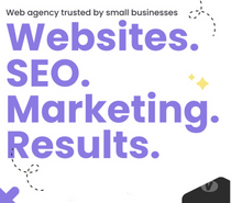 Professional Websites Ideal for Small Businesses