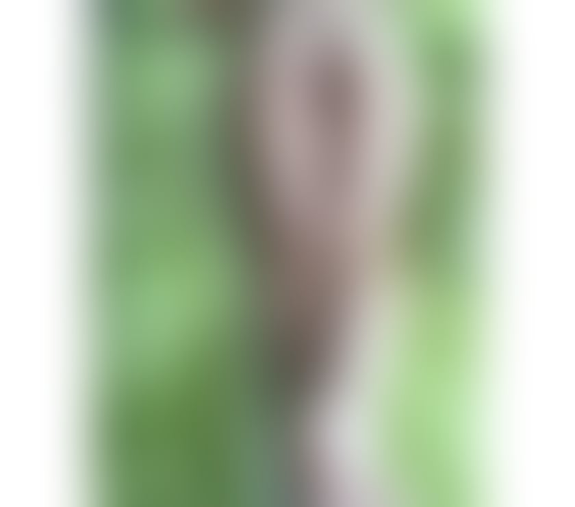 Escorts West Yorkshire Kirklees - Photos for Your Dream Girl Has Arrived in Dewsbury 💫
