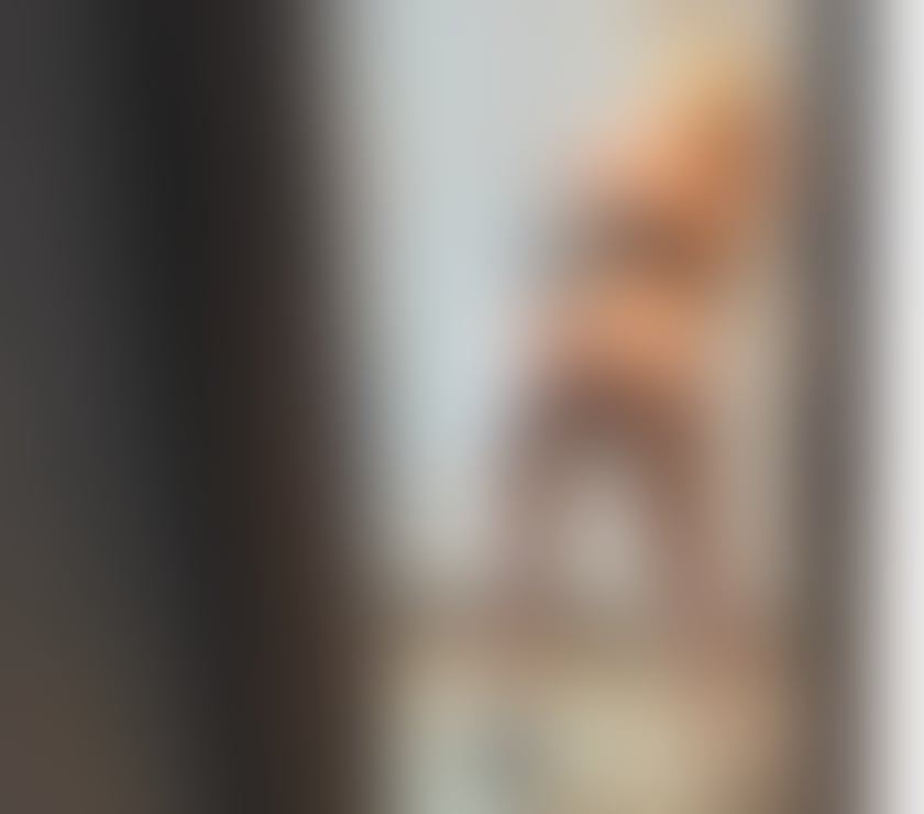 Escorts West Yorkshire Kirklees - Photos for Jany new here ,sexy curvi best service .like party