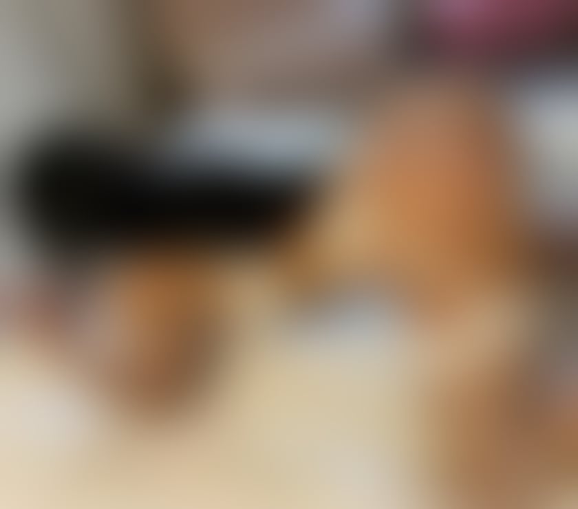 Escort Camberley Surrey Heath - Photos for Hot girl🥵sexy🫦new💦party🎊💯