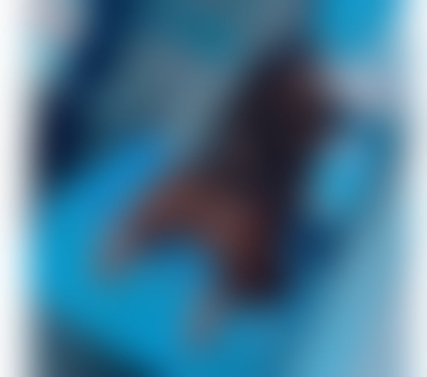 Escorts Central London Kensington and Chelsea - Photos for 🇧🇷BÁRBARA BIG ASS🇧🇷PARTYGIRL🥳NEW IN TOWN