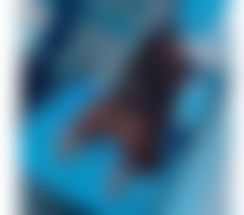 Escorts South West London South Kensington - South West London - Photos for 🇧🇷BÁRBARA BIG ASS🇧🇷PARTYGIRL🥳NEW IN TOWN