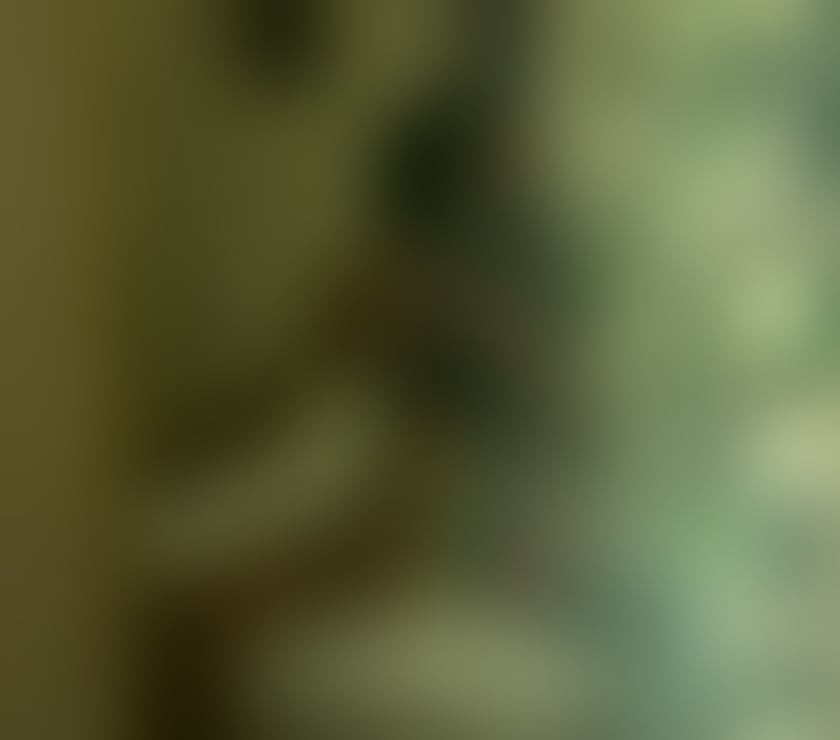 Escorts Greater Manchester Bolton - Photos for real photo ❤%trans Candela massage open 24 h party 24h