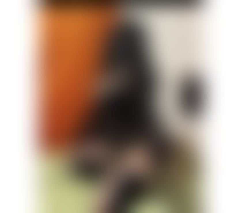 Escorts North Lanarkshire Holytown - North Lanarkshire - Photos for the best ✅party and the best service❤️