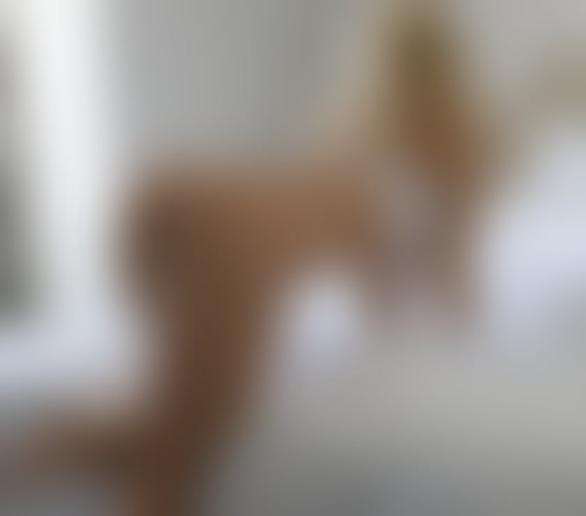 Escorts Oxfordshire Cherwell - Photos for Naughty girl 🔥 Outcalls Party girl 💋🔥