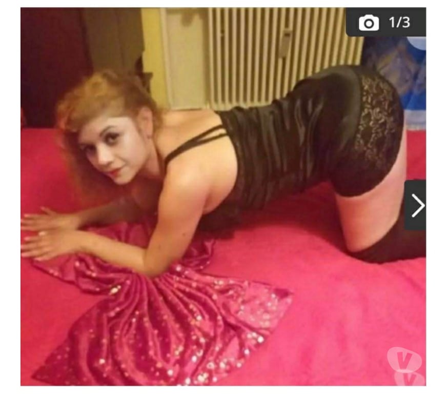 Escorts Leicestershire Leicester - Photos for Paloma Party Girl