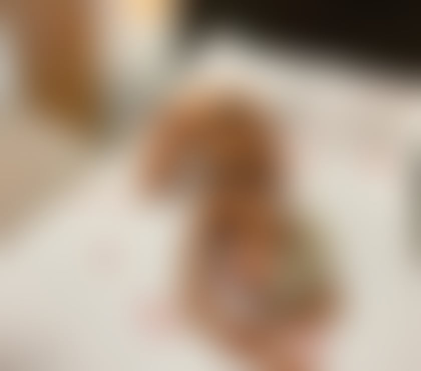 Escorts Buckinghamshire High Wycombe - Buckinghamshire - Photos for Sexy Sapphire available