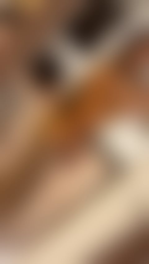 Escorts County of Herefordshire Hereford - County of Herefordshire - 