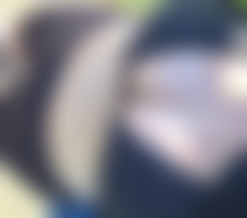 Escorts Mayfair Central London - Photos for Vietnamese curvy model