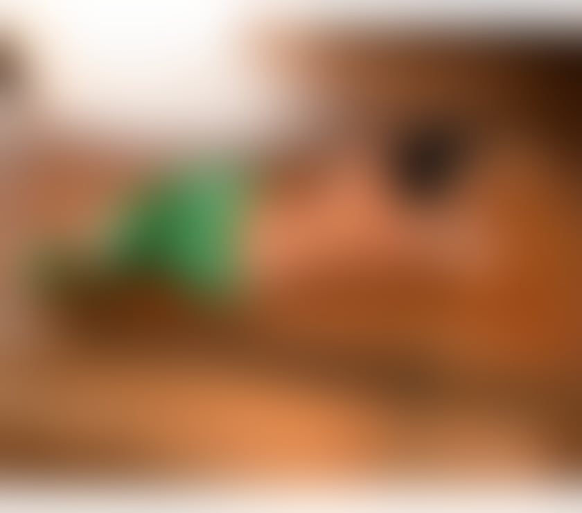 Escorts Dorset Bournemouth, Christchurch and Poole - Photos for NATALIA MILLANO, Hot🔥party