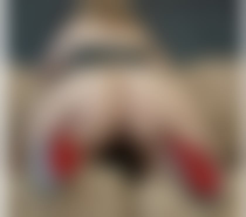 Escorts West Yorkshire Kirklees - Photos for Hi guys Lola is back in TOWN xx