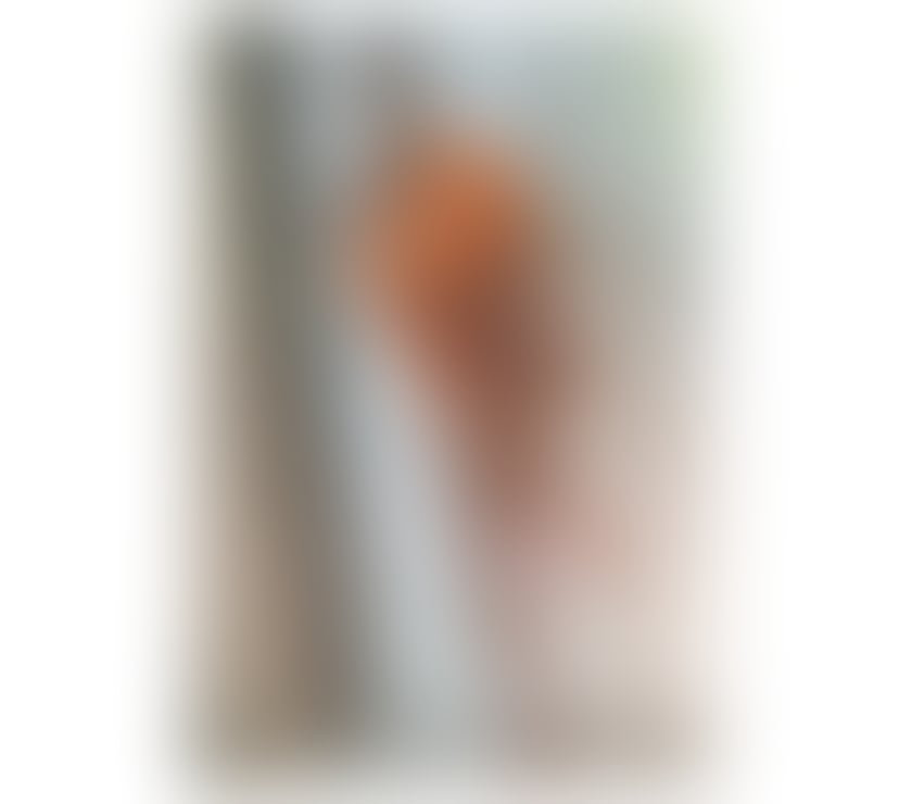 🍭🍭CEO OF N.A.U.G.H.T.Y 🍭🍭