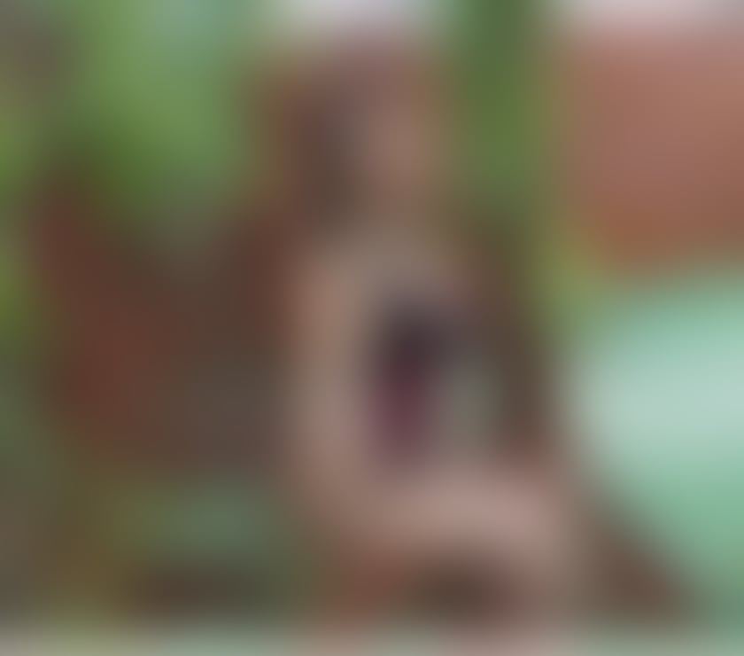 Escorts Swansea - Wales Swansea City Centre - Swansea - Photos for BELLA BRAZILIAN 🥳 ALL NATURAL, STUNNING & FRIENDLY 🍒