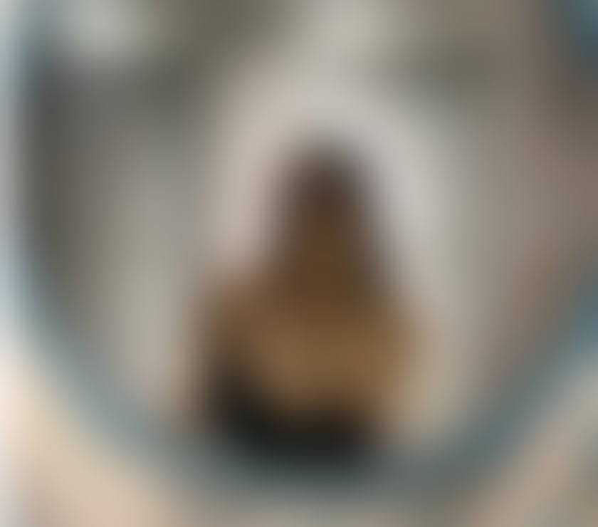 Escorts Brent Wembley - Brent - Photos for 💕PREETY INDO PUNJABI GIRL AVAILABLE💋