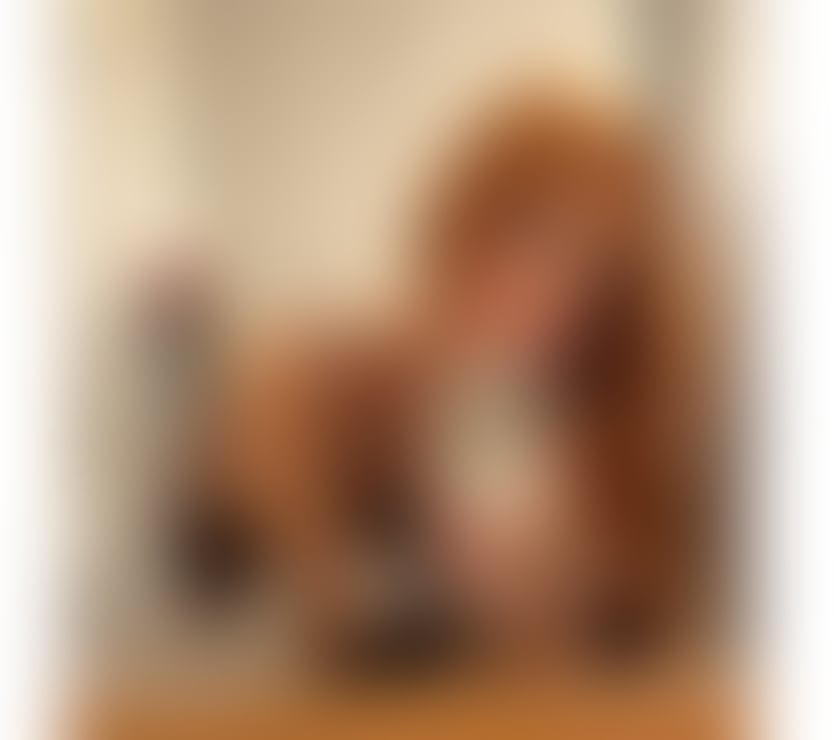 Escorts Devon Exeter - Photos for ✨ ISA BRAZILIAN 🇧🇷🔥TRANS 🏳️‍⚧️🍆