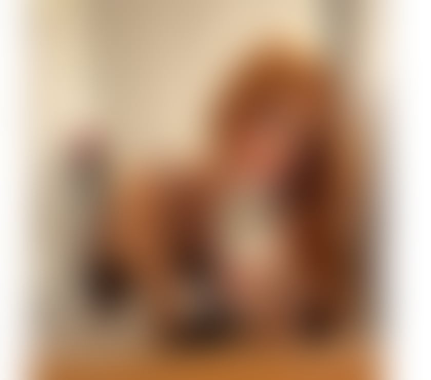 Trans Escorts Devon Exeter - Photos for 🇧🇷 ISA BRAZILIAN ✨ VERY HOT 🫦🔥