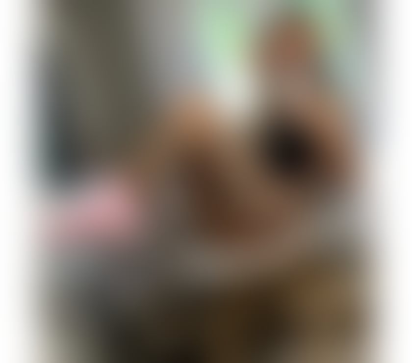 Escorts Cornwall Truro - Cornwall - Photos for a blonde girl with a gorgeous body 💯🔞