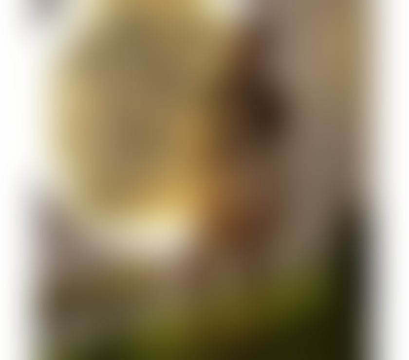 Escorts South Yorkshire Sheffield - Photos for Brazilian 🇧🇷 Real Brazilian 100%%🇧🇷🇧🇷