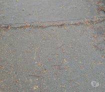 I am looking for women