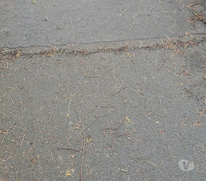 Swingers Johnstone Renfrewshire - Photos for I am looking for women