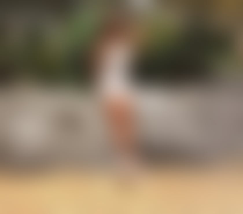 Escorts West Midlands Birmingham - Photos for 💫 Aline – The Mystery You Can’t Resist 🌙