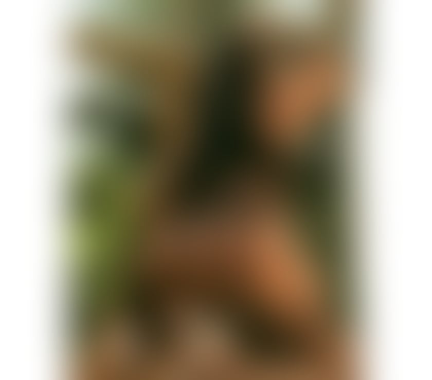 Escorts Warrington Warrington Town Centre - Warrington - Photos for 🔞🇧🇷MELISSA IN TOWN 🆕 GFE 🔞REAL PIC