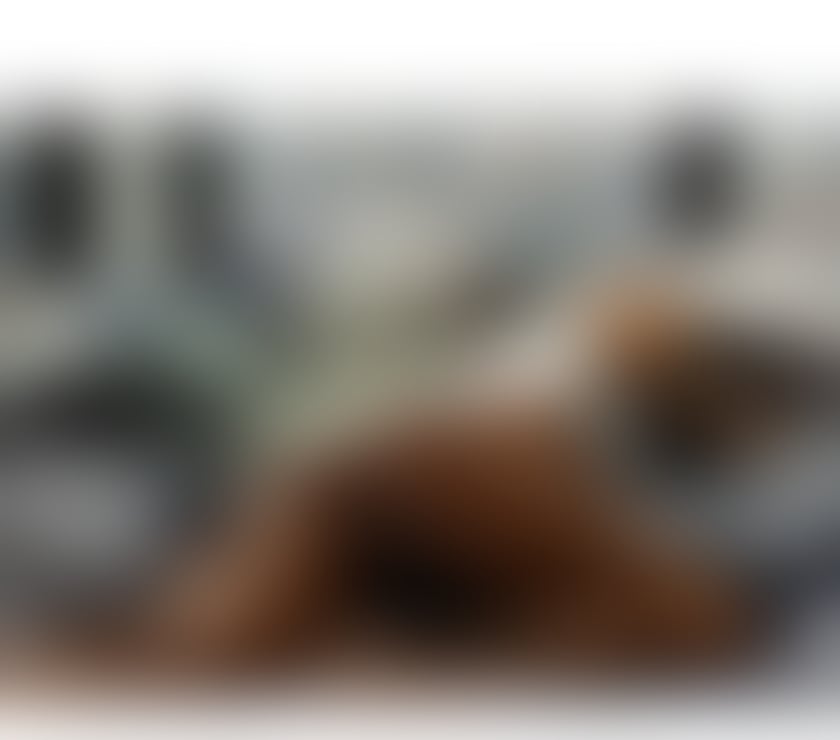  Escorts Slough Town Centre Slough - Photos for Brazilian best girl