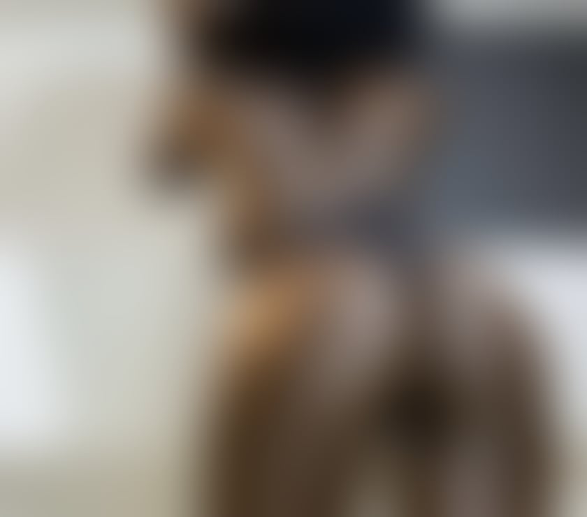 Escorts West Midlands Birmingham - Photos for BONNIE BELLA 🤍