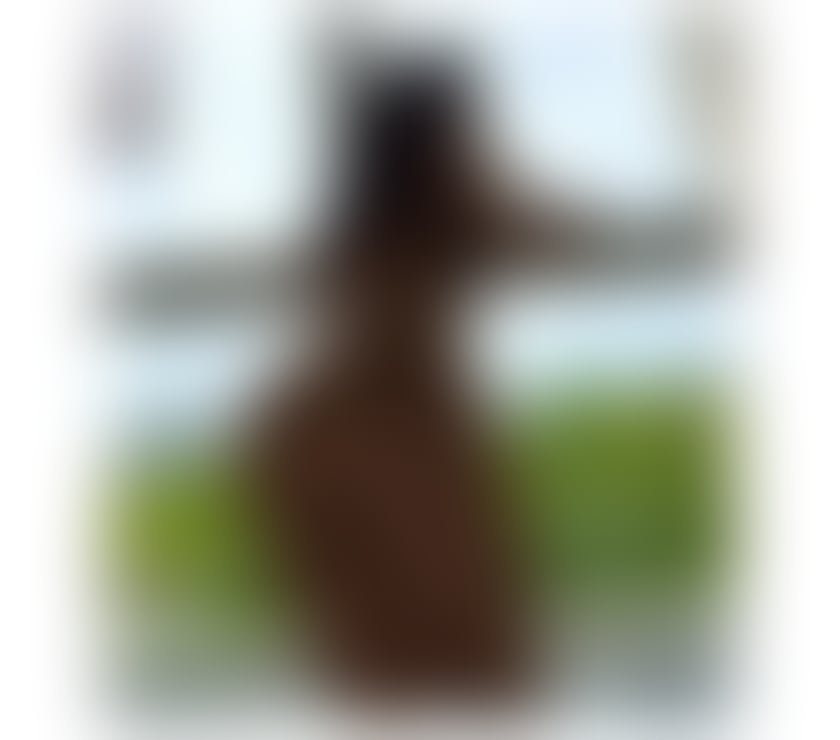 Escorts Reading Reading Town Centre - Reading - Photos for 🔥AURORA🍾 PARTY WITH ME 📲 AVAILABLE NOW ✅