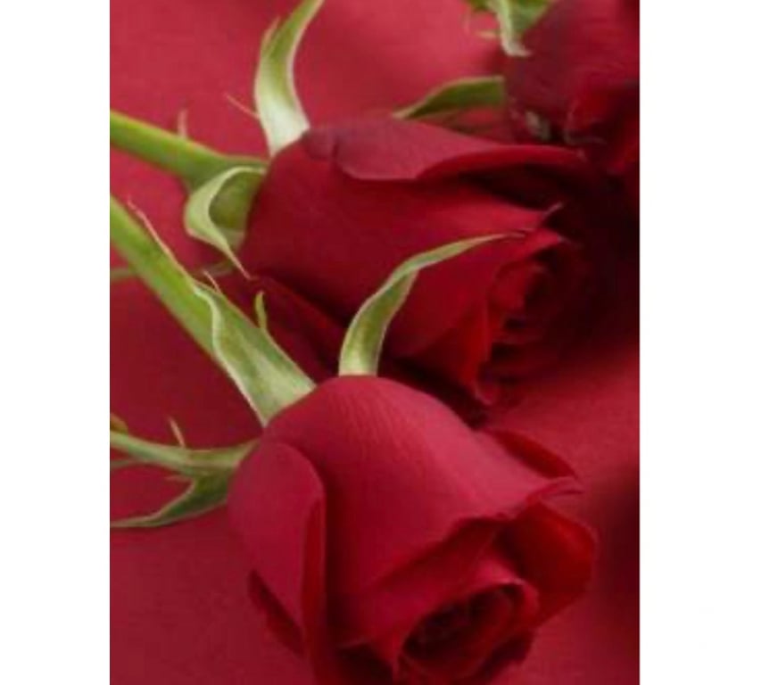 Escorts Highland Inverness - Highland - Photos for The Ultimate Full-Body Massage Experience