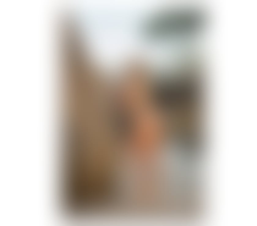 Escorts West Northamptonshire Northampton - West Northamptonshire - Photos for PAMELA 💯%REAL🍑BIG ASS✨PARTY GIRL🥂💋