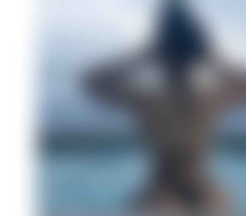 Escorts North West London Cricklewood - North West London - Photos for NEW IN UK🔥A-LVL💦OWO💋KISS NOT RUSH PARTY