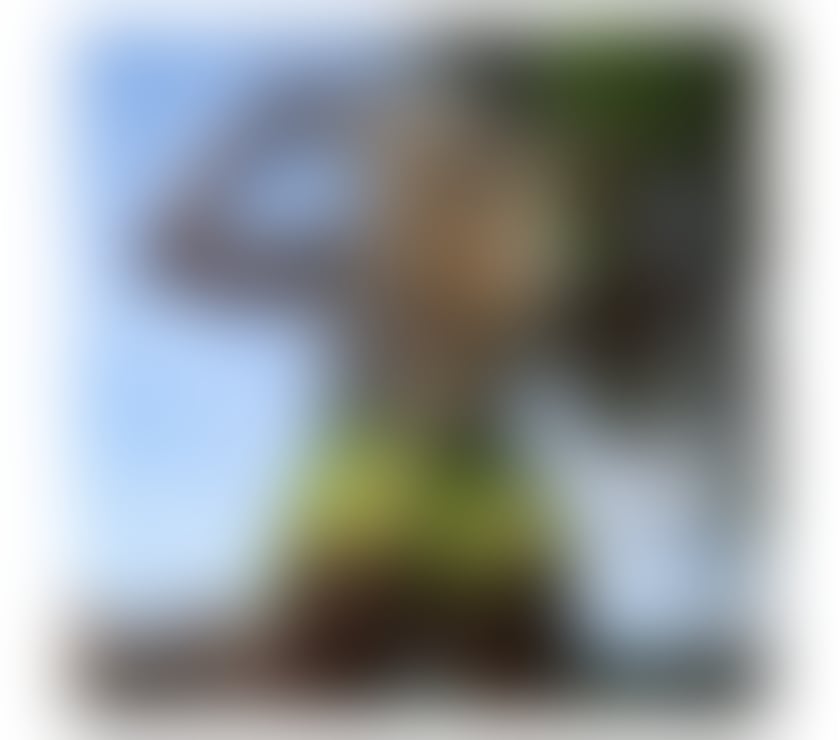 Trans Escorts Reading Reading Town Centre - Reading - Photos for SOFHIA YOUNG TS 😈 FIT AND MODEL 💦👅