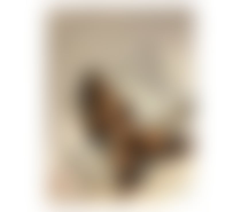 Escorts North West London Colindale - North West London - Photos for Maya, brasilian party 🥳 beautiful ♥️ REAL PICS 📸