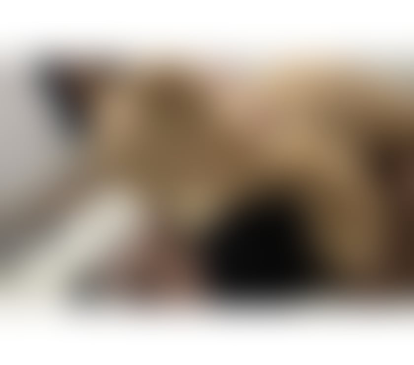 Escorts Nottinghamshire Nottingham - Photos for ❤️ALICE❤️BEST PARTY GIRL❤️INCALL & OUTCALL❤️