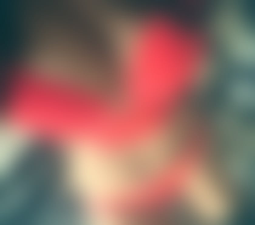 Escorts Edinburgh West End, Stockbridge and Fountainbridge - Edinburgh - Photos for Hot busty lady in town only few days