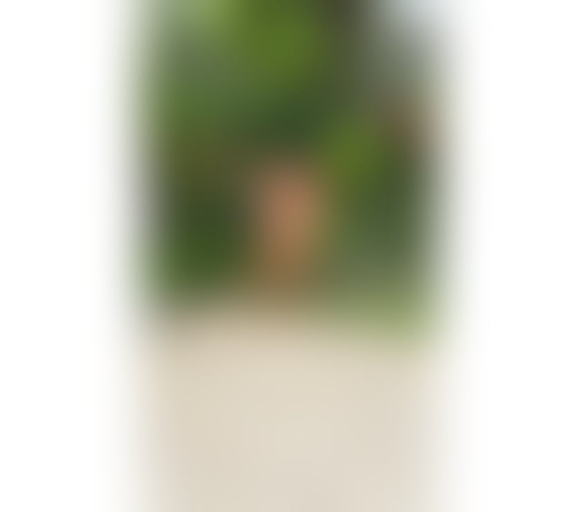 Escorts Edinburgh Edinburgh - Edinburgh - Photos for JADE 🔥 NEW IN TOWN ❣️ PARTY 🇧🇷