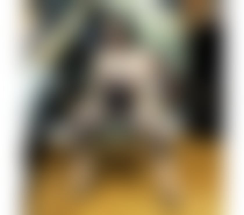 Escorts West London Hillingdon - Photos for 💯❤️‍🔥Bella waiting for you❤️‍🔥💯