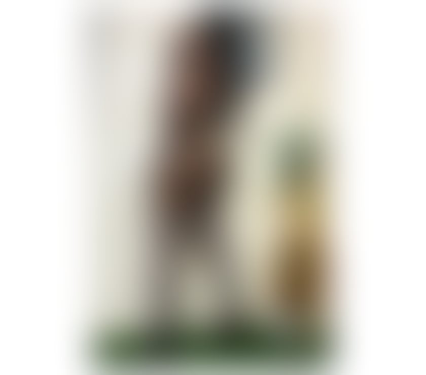 🤎Ebony 🤎African lady🤎MOZ 🇲🇿