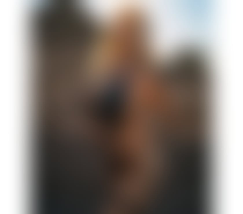 Escorts Dorset Weymouth - Dorset - Photos for New in Town 🔥Party girl 🥰