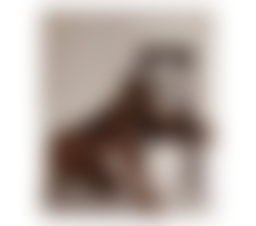 Escorts Ealing Southall - Ealing - Photos for Elegant and Relaxing Massage in Southall