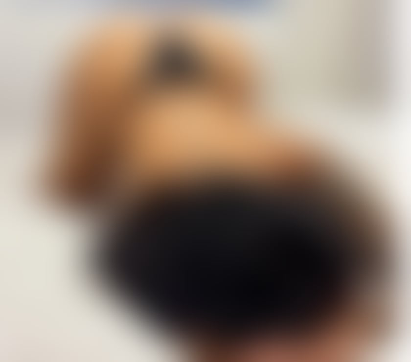 Escorts Birmingham City Centre Birmingham - Photos for Available party girl 24 7 💦