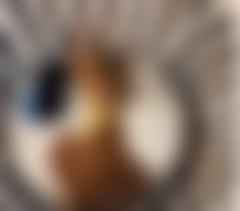 Escorts Greater Manchester Manchester - Photos for Laura brazilian 🌟🔥 GFE 💕