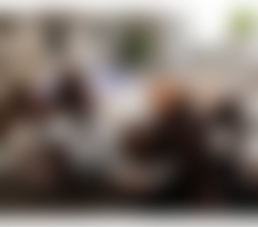 Escorts North London Seven Sisters - North London - Photos for 🔥ANITA BLACK GIRL❤️HOTTEST PARTY GIRL🎉BEST-OWO💦