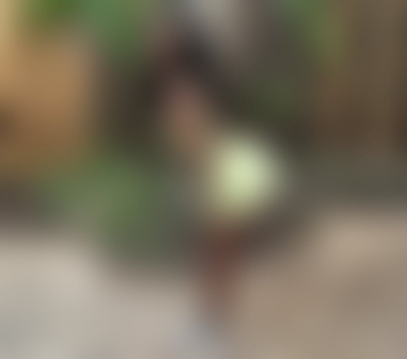 Escorts Seven Sisters North London - Photos for 🔥ANITA BLACK GIRL❤️HOTTEST PARTY GIRL🎉BEST-OWO💦