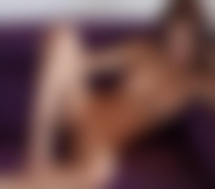 Escorts Gloucestershire South Gloucestershire - Photos for SARA❤️‍🔥 best girl‼️perfect service 🔝