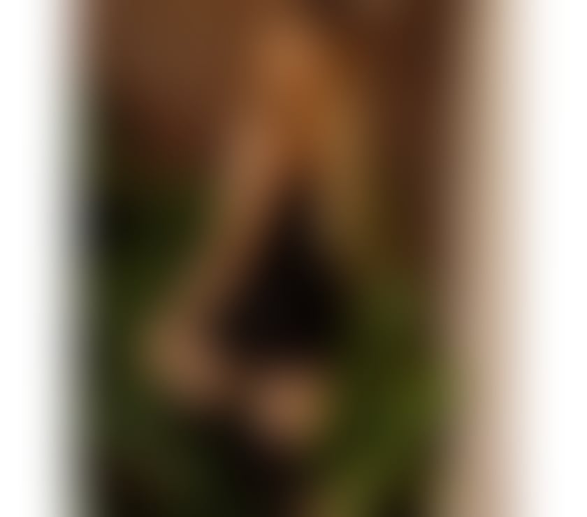 Escorts South West London Clapham Common Station - South West London - Photos for ESTHER LATINA HOT 🔥🎉🥂🍾