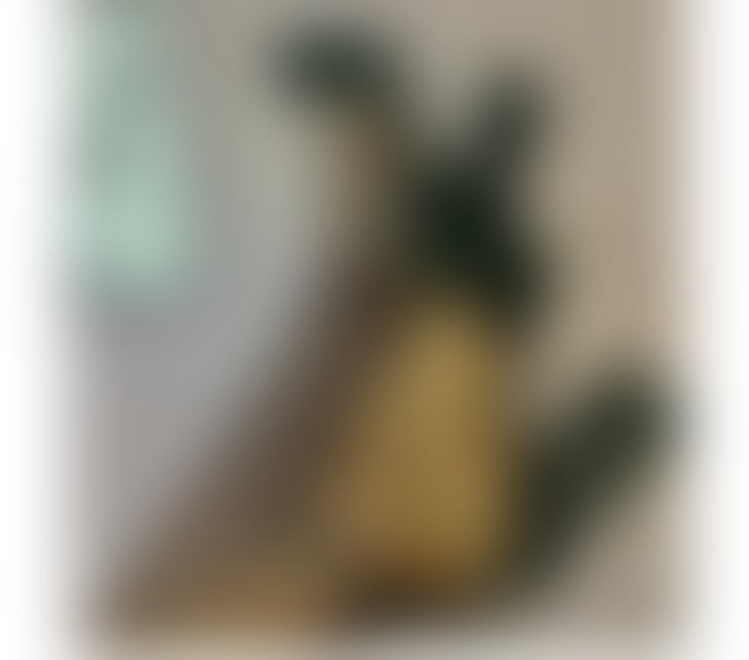 Trans Escorts Staffordshire Stoke-on-Trent - Photos for IzabelaBrazilianTransGilr