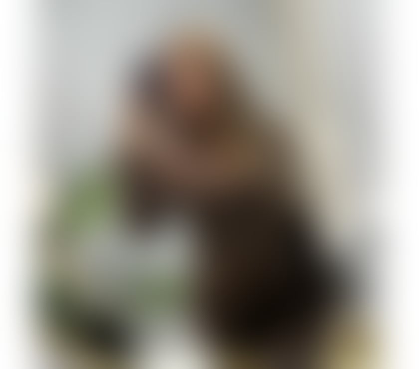 Escorts Little Ilford East London - Photos for More details on WhatsApp Dilara